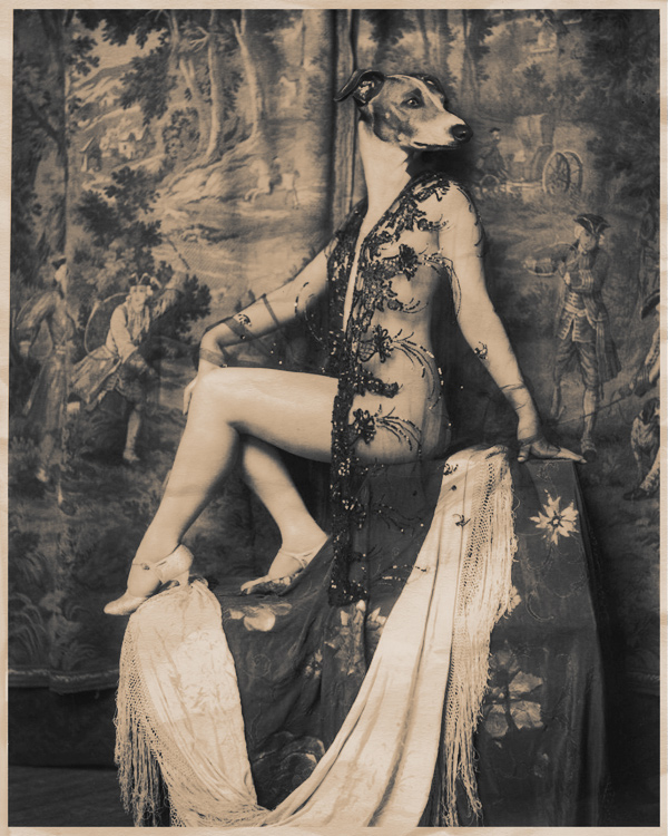 Mademoiselle Chienne