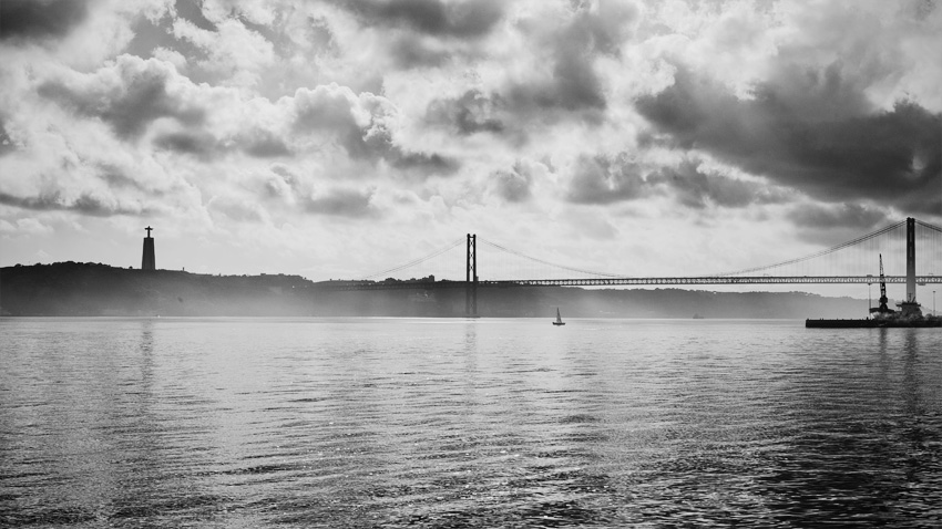 Misty Tagus