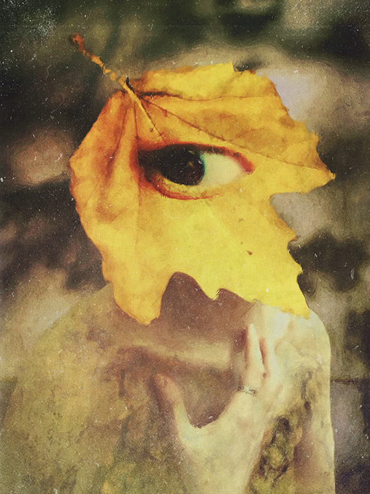 The Spirit of Autumn